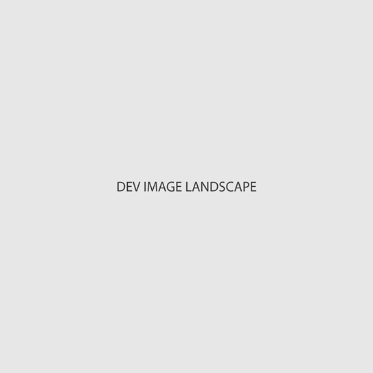 Dev Landscape